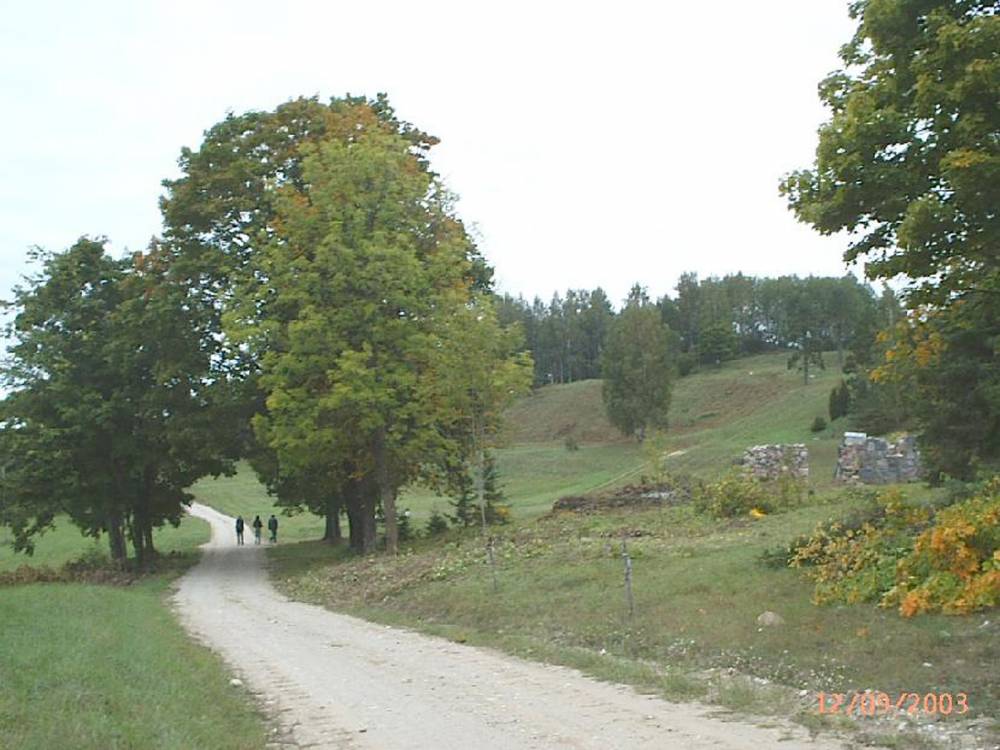 Vaade Paluküla hiiemäele